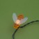 Garland “thread” 4.5 m with nozzles “bees”, IP44, dark thread, 30 LED, glow warm white, 2 modes, solar battery