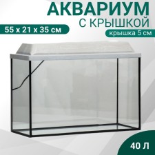 Aquarium rectangular 