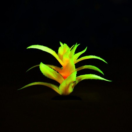 The artificial aquarium, luminous plant, 10 cm, red-5