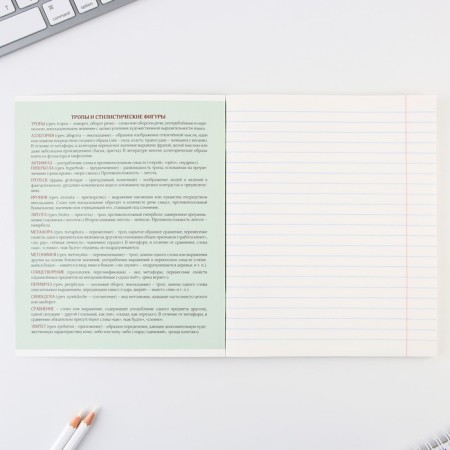 An objective notebook 48 sheets, A5, gradient, with reference materials “September 1: Literature”, cover coated cardboard 230 gr., Inner block in a line of 80 gr., White is 96%, block No. 1.-2