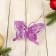 Decor "overflow" a double butterfly, 14x20 cm, mix