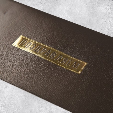 Gift envelope "Congratulations", embossing, designer paper, 22 × 11 cm-3