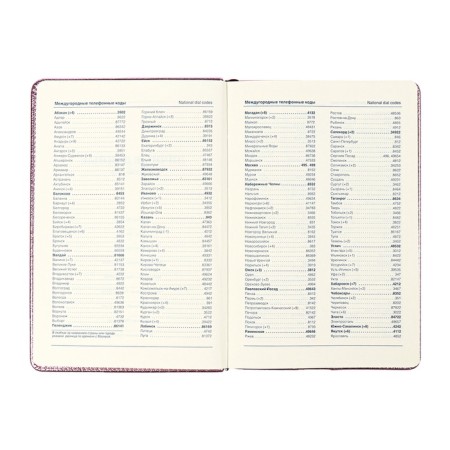 The diary is low, PVC cover, A5 format, 140 l, cell, metallic pink-7
