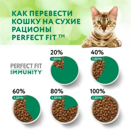 Dry food Perfect Fit for cats, beef, flax, blue, 580 g-6
