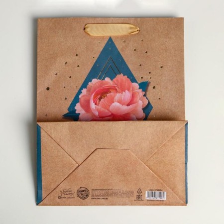Package Gift Crafts Vertical, Packaging, Pion, MS 18 x 23 x 10 cm-3