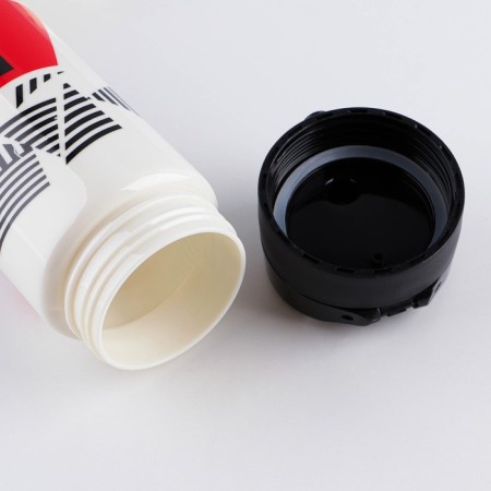 Water bottle "Russia", 750 ml-2
