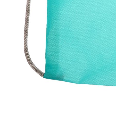 A bag for shoes 490 x 410 mm, "standard" SDS-51 max, (soft polyester, density 210 d), mint-2