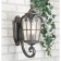 Elektrostandard Lamp Garden-Park, 60 W, E27, IP44, Wall, Mira U
