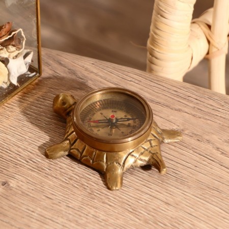 Compass "Turtle" Brass 10x10x3.5 cm-1
