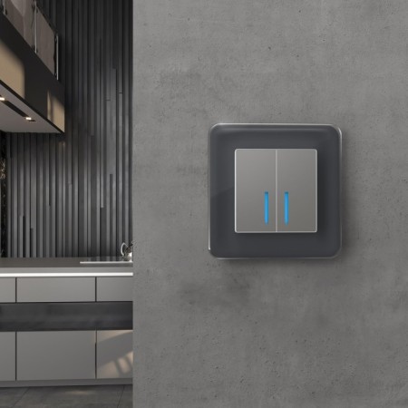 Frame W0012440, 1 ELITE socket, graphite, glass-2