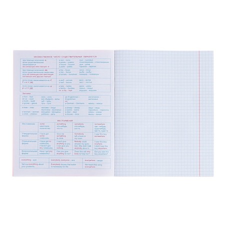 Subject “Domino”, 48 sheets in a cage, “English language”, plastic cover, offset block-2