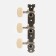 Kolkoko mechanics set for Music Life guitar