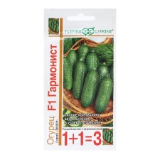 Cucumber seeds 