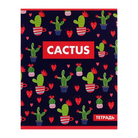 A set of notebooks of 5 pieces, 48 ​​sheets in the Calligrata cactus cage, covered cardboard, offset block-4