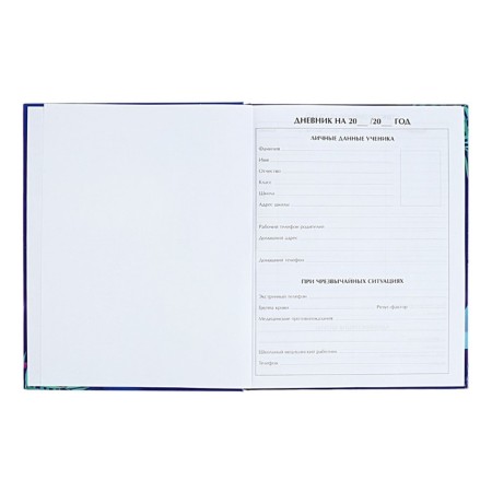 Diary for grades 5-11 "Modern wyb. Be cooler!", Firm cover, glossy lamination, 48 sheets-3