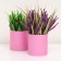 Set of round boxes 2B1, "pink", without a lid, 10 x 10 x 10.5 cm