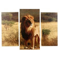 The modular picture 