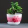 Pot floral orchid white 0.75 l