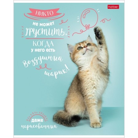 Notebook of 48 sheets in the cage "Dobralapi-Issue No. 1", covered Cardboard, matte lamination, 5V, mix-4