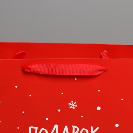 Laminated vertical “Gift from Santa Claus”, l 31 x 40 x 11.5 cm, New Year-3