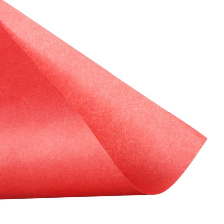 Set for children's creativity A4, 5 sheets Cardboard color + 5 sheets paper two -sided, "Squirrel"-10