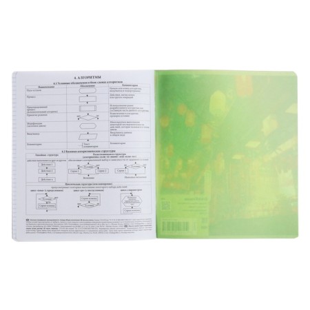 Subject notebook, 48 sheets, cage, computer science, erichkrause "manga", cardboard cover of twin-lak, unit offset white 100%, information block-6