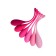 A set of vaginal balls Eromantica K-Rose, silicone, pink color, 6 pcs.