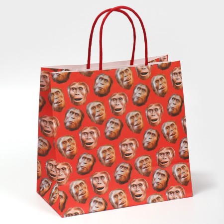 Gift package, packaging, “monkey”, 22 x 22 x 11 cm-2