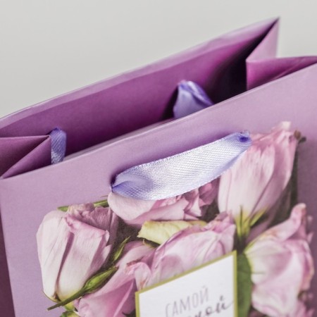 Gift laminated vertical, packaging, “tender in the world”, ml 23 x 27 x 11.5 cm-2