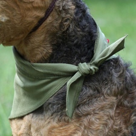 OSSO cooling scarf, M (66 x 20 cm)-2