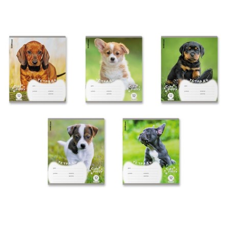 Notebook 12 sheets in the Erichkrause "Puppies", cover coated cardboard, OFSET BOLK, MIX
