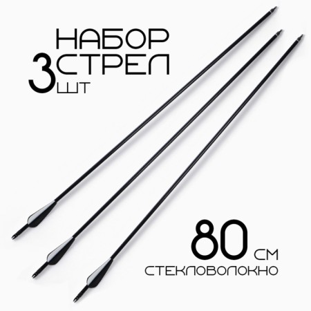A set of arrow for onions 3 pcs, fiberglass, black, plumage - black, 80 cm