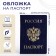 Cover for passport, blue color