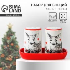 Set for spices ceramic 