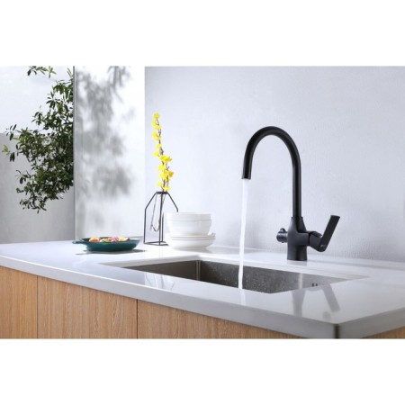 LEMARK URSUS LM7261BL kitchen mixer, single -legged, output for drinking, black-1