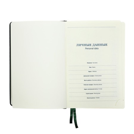 Delivery of a low -end A5, 136 sheets in a ruler, leatherette "Nebraska", gold cut, green-9