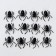 Spider joke, set 12