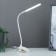 Lamp on the snake "snake" 1W 14 Led USB white 9x3.5x42 cm Risalux