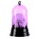 Halloween lamp, species mix