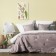 Cover with pillowcases "Alice", size 160x220 cm, powder color