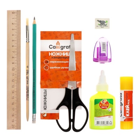 A4 labor folder, PVC textiles, with handles, folding, on Velcro, with a filling of 10 items, calligrata, PTR-10, "pencils"-12