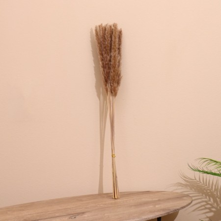 Set of dried flowers 80 cm (10 pcs) natural-2