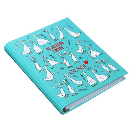 Notebook on rings A5 160 sheets in the GUSSI cage, hard cover, glossy lamination-1