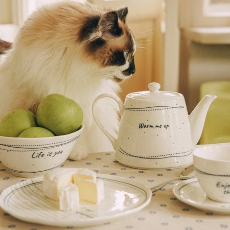 Teapot after a porcelain SL Home "House", 900 ml, 21 × 13.8 × 13.5 cm, white color-7