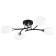 Ceiling chandelier Citilux "Florida" CL148145, 65.5x51x14.5 cm, 4x60W, E14, Black Color Black