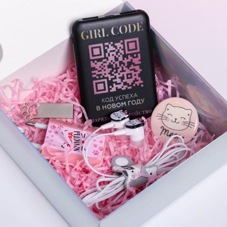 Charger, popcet, headphones, flash drive and plug “Happy Meow Box”, set-3