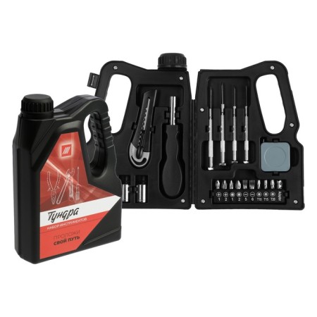 Tundra instruments set, gift plastic case "Canister", 21 subject