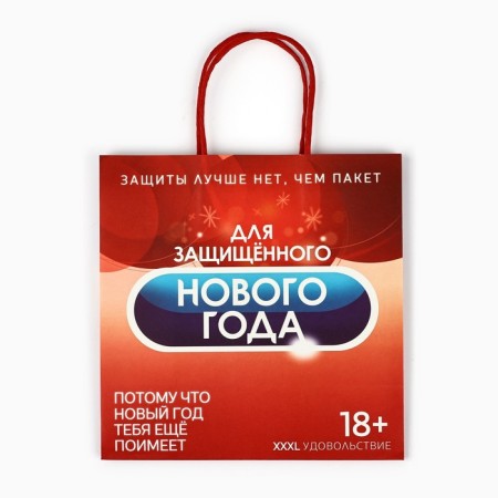 Gift package "Protected New Year", 22 x 22 x 11 cm, new year-4