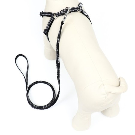 The ammunition set is two-layer, size S, leash 120 x 1 cm, ok 24-38 cm, og 29-41 cm, stars 9683-2