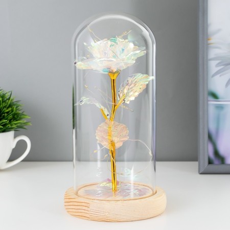 Nightlight "Bright flower" LED from batteries 3haaa 11x11x21.5 cm Risalux